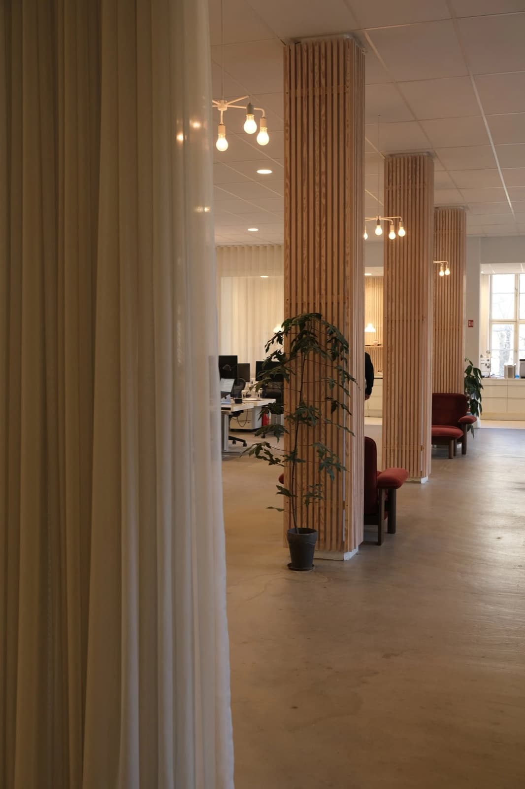 Kontorlokale med planter hos institute of AI